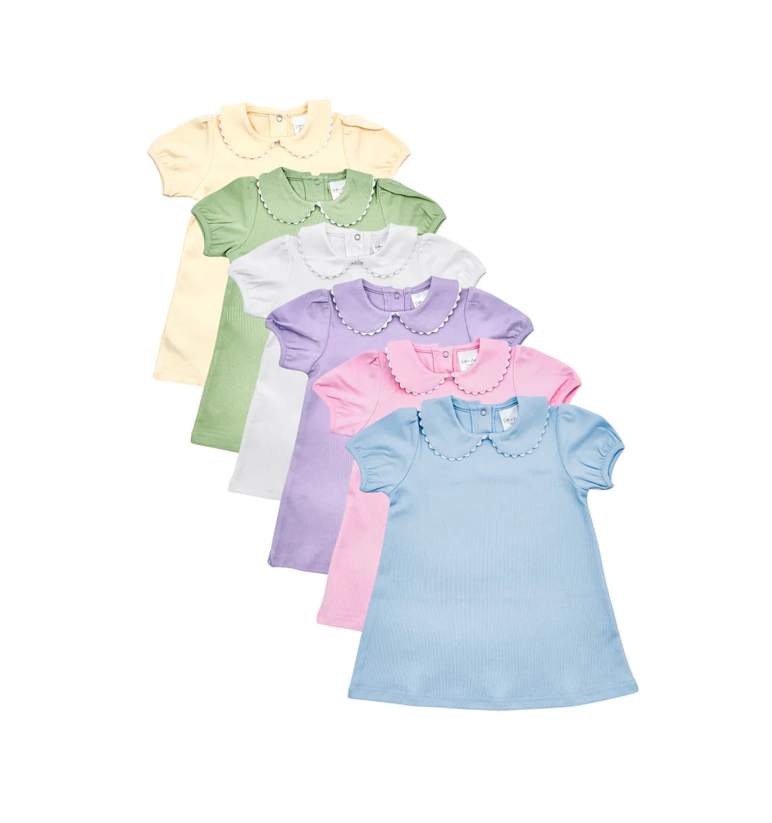 Scalloped Collar Dress