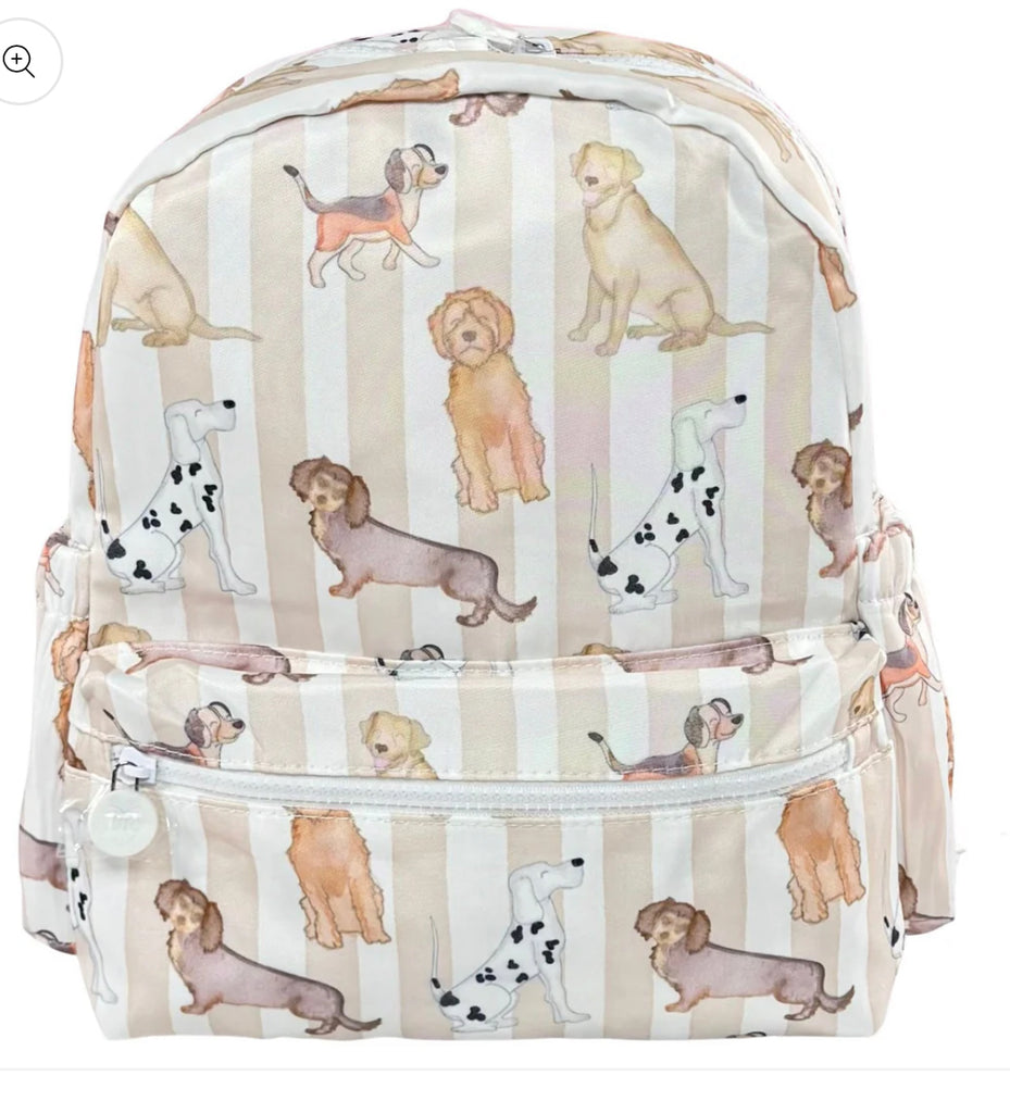 Full Size Backpack